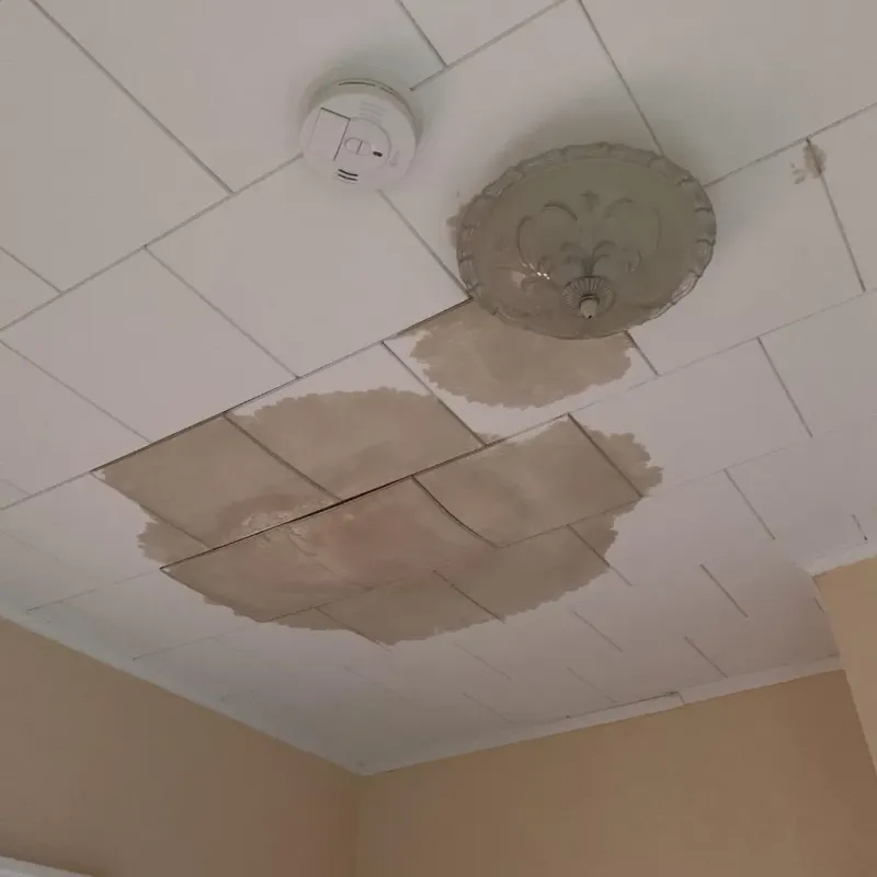 Ceiling Water Damage Repair in Rosendale Village, NY