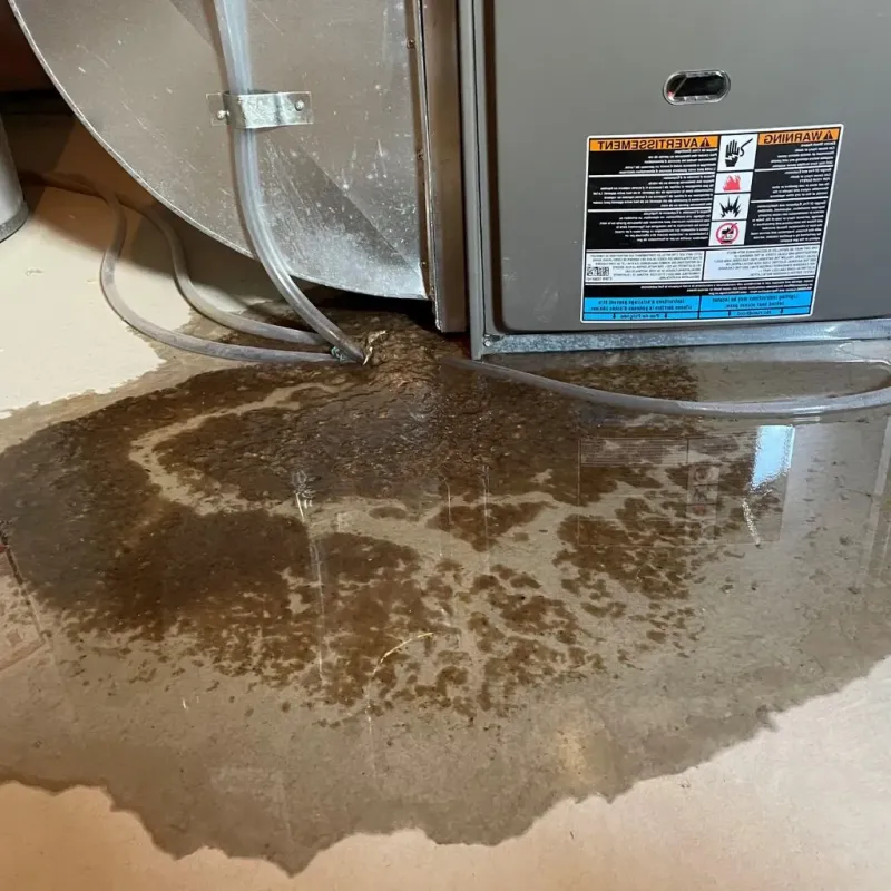 Pipe Burst and Leak Restoration in Rosendale Village, NY